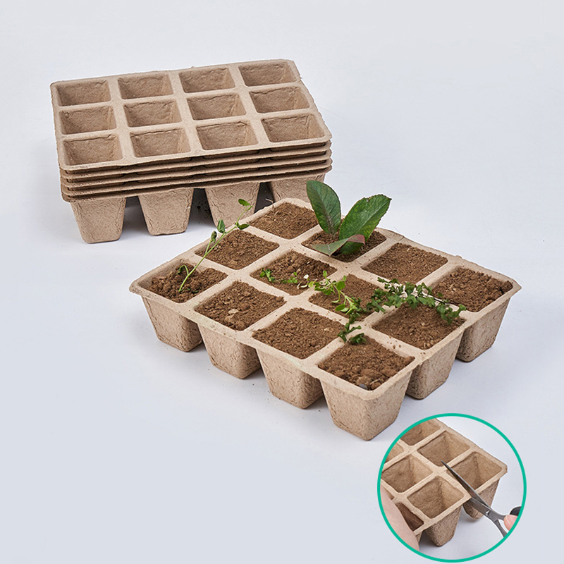 Seed Starter Tray - 5 Stuks 12-Hole Plant Kwekerij Lade