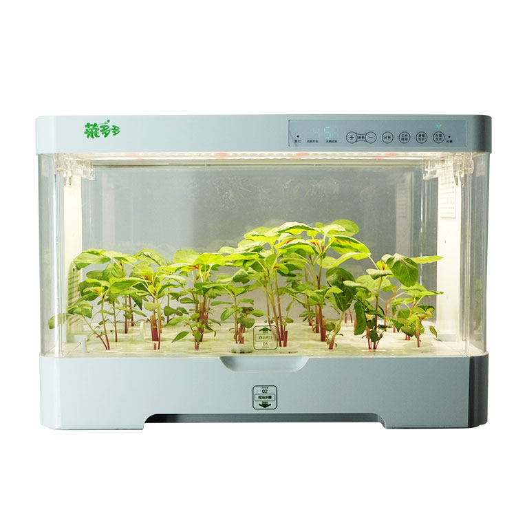 Hydroponic Kit - Kleine, slimme, plastic kweekkast voor binnen,