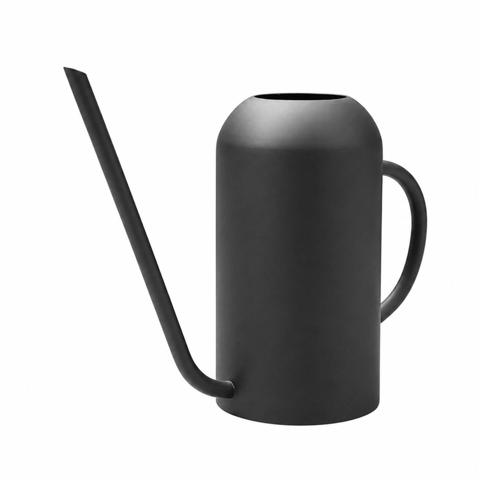 Roestvrijstalen gieter met lan - Watering Can recensie en prijs