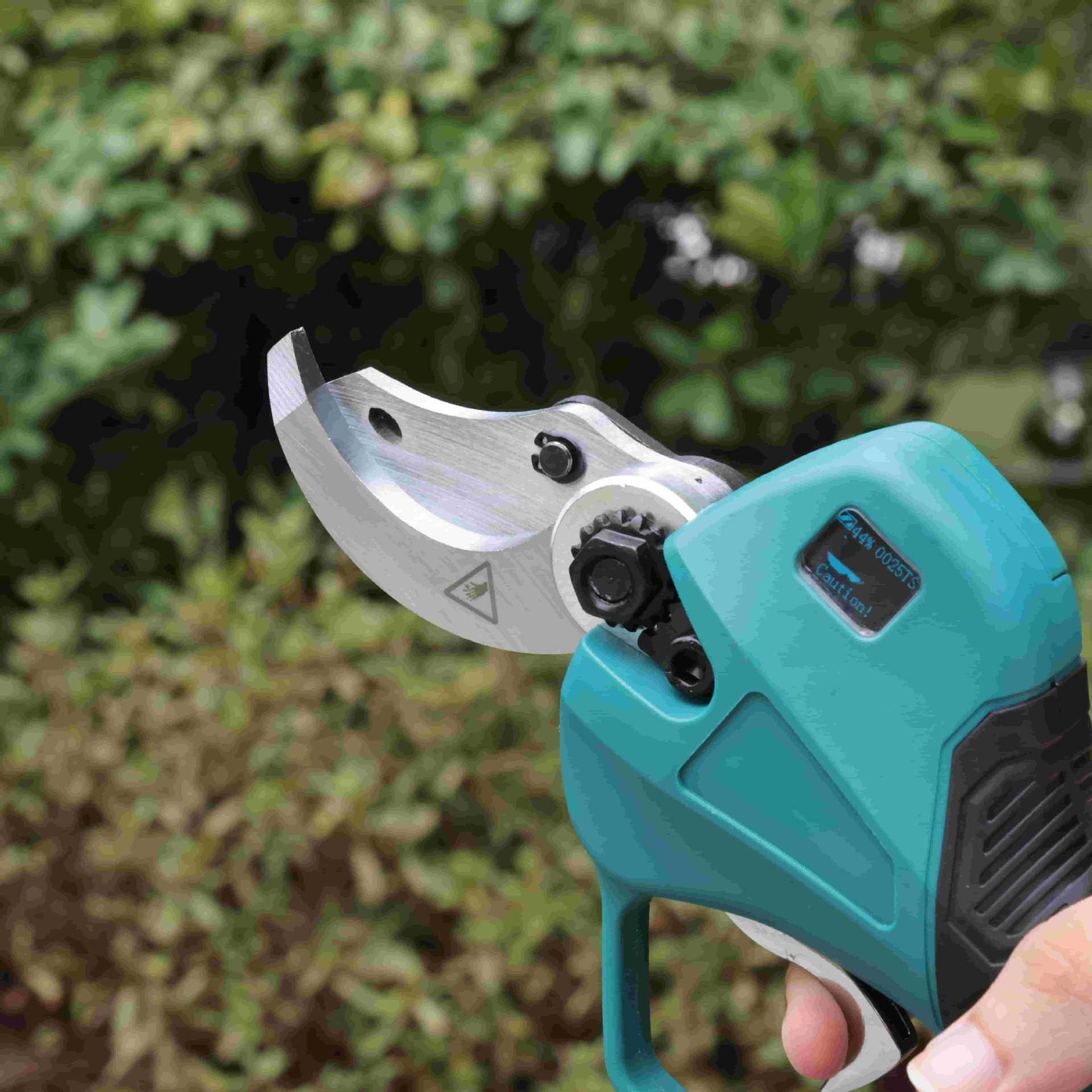 Hoge snoeischaar op accu, elek - Pruning Shears recensie en prijs