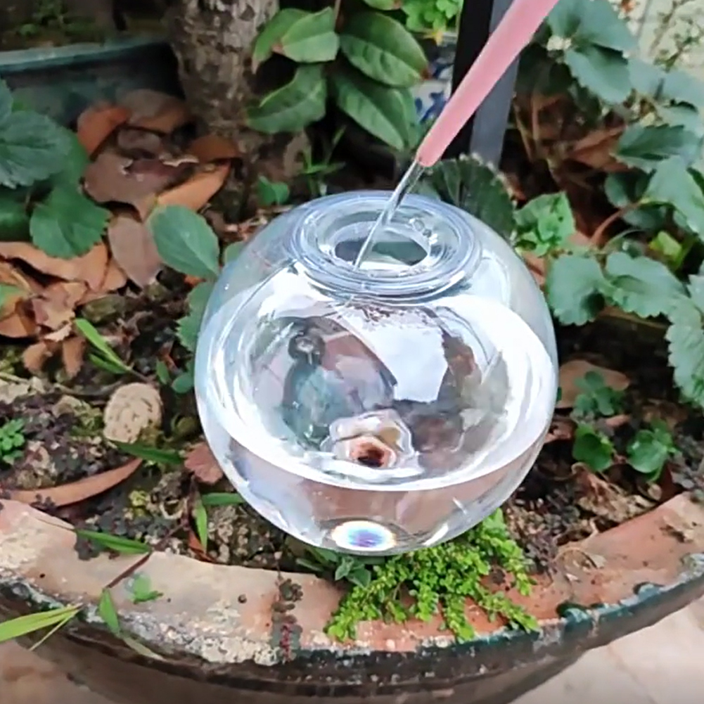 500ML Zelfwatergevende Globes  - Self Watering Planter recensie en prijs