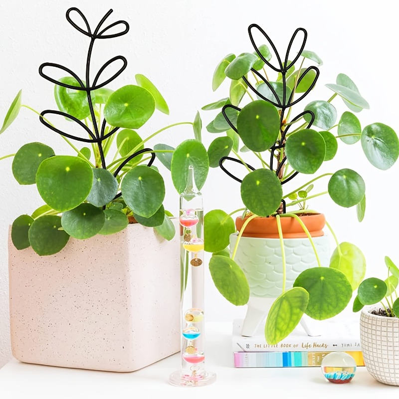 3 Stuks Plant Ondersteuning Fr - Indoor Herb Garden recensie en prijs