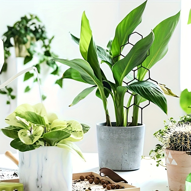 3 Stuks Plant Ondersteuning Fr - Indoor Herb Garden recensie en prijs